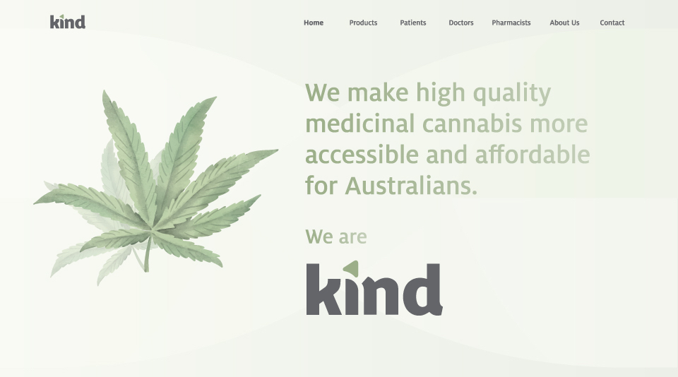 Kind Medical Website & Portal